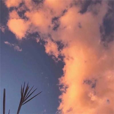 剑道传奇最新版本下载
