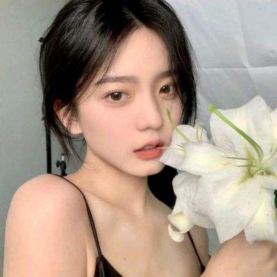 坦克策略大作战游戏